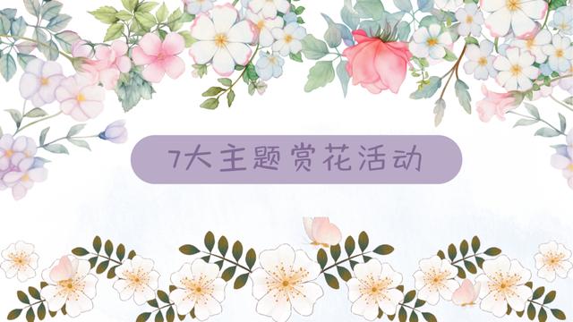 2025年“春游張家口 最美賞花季”新聞發(fā)布會成功召開(圖3)
