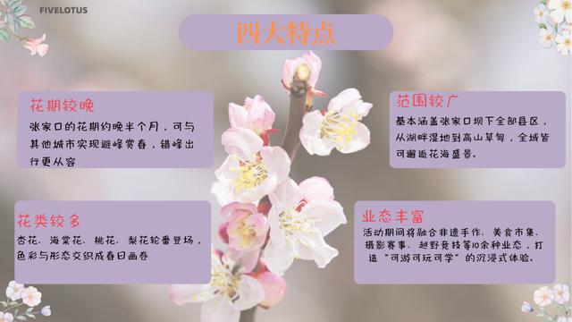 2025年“春游張家口 最美賞花季”新聞發(fā)布會成功召開(圖4)
