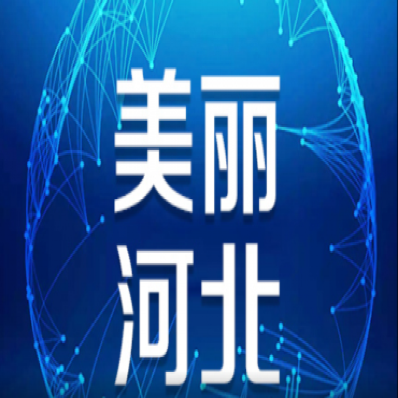 河北：從嚴從實落實疫情防控措施 有力有序推進復工復產