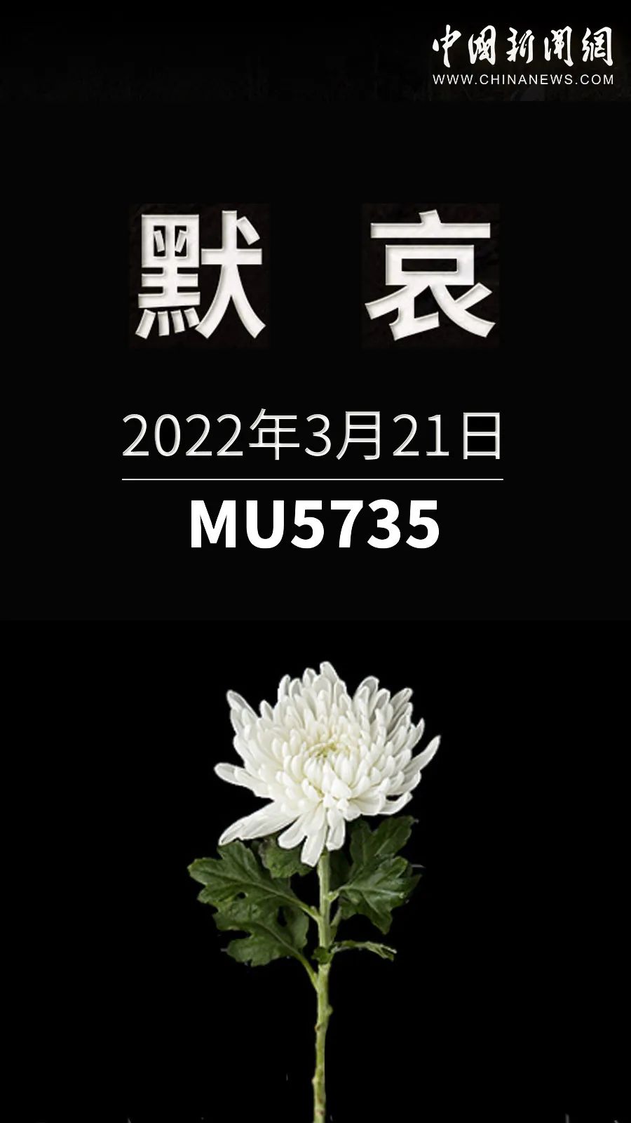 東航墜機(jī)頭七祭：沒有奇跡，愿安息(圖1)