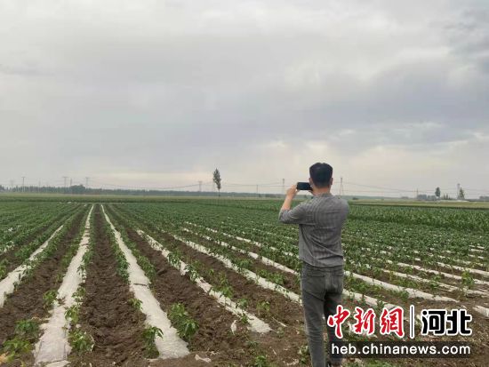 “田長”護田 “數字”管地 聚焦河北耕地保護專項行動(圖2)